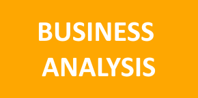 Business Analysis voor Projectmanagers