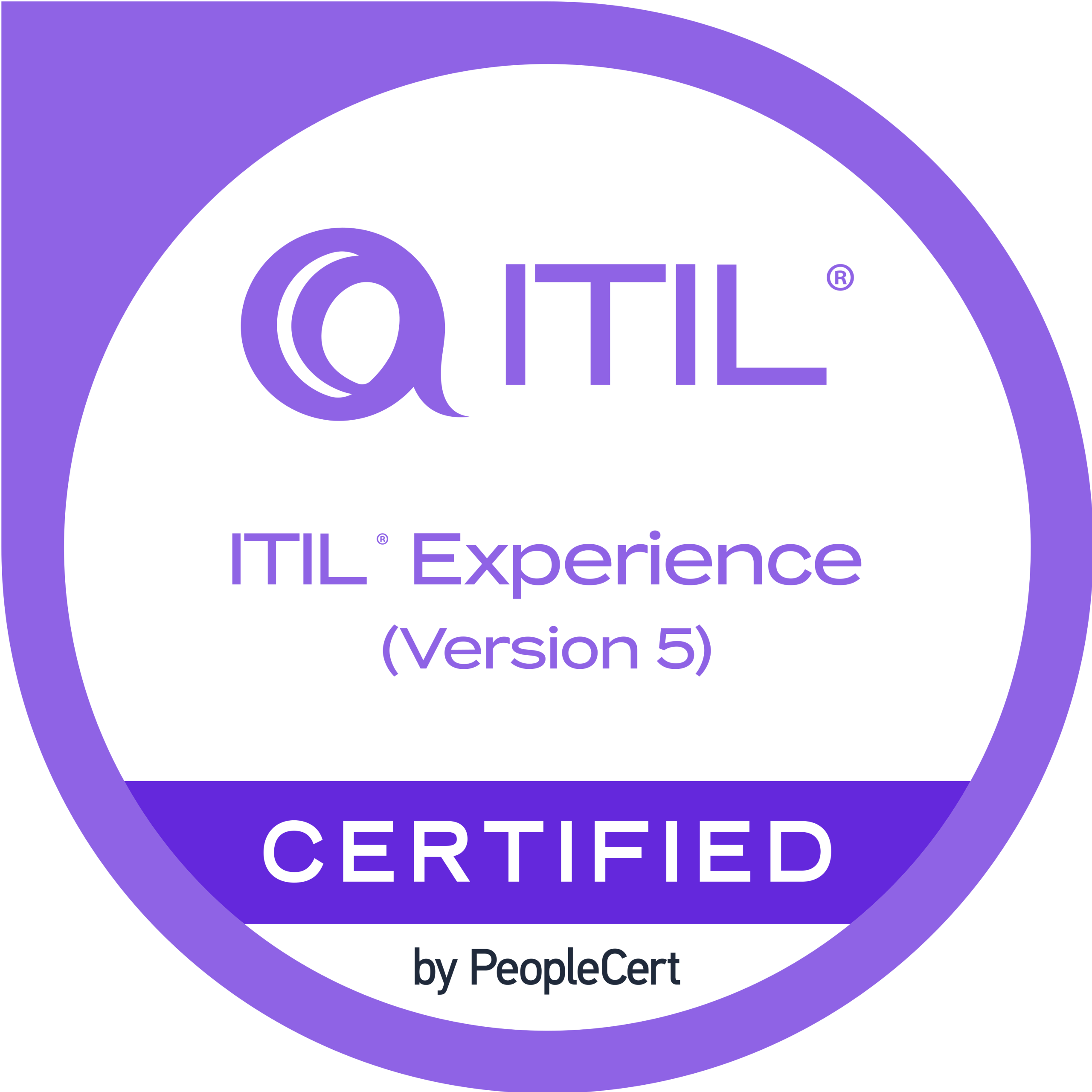 ITIL Versie 5 Experience – Inclusief Examenvoucher